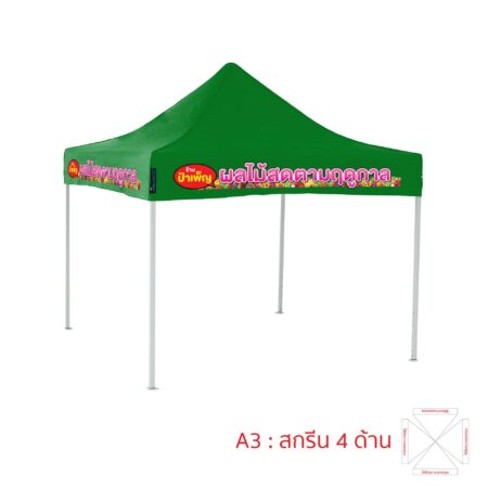 T1P-HD22a3