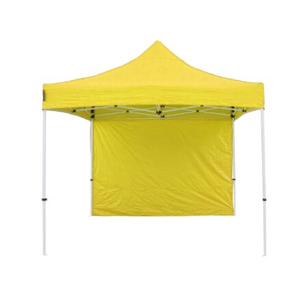 T4P-yellow-4