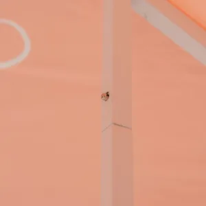 1.06 Dome Tent
