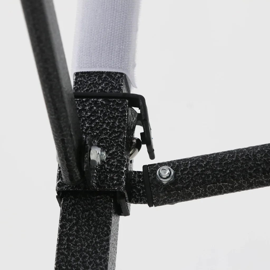 T1S frame